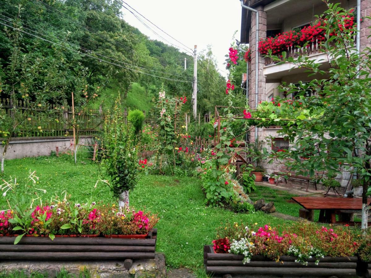 Pensiunea Bordás Panzió Sfântu-Gheorghe Exterior foto